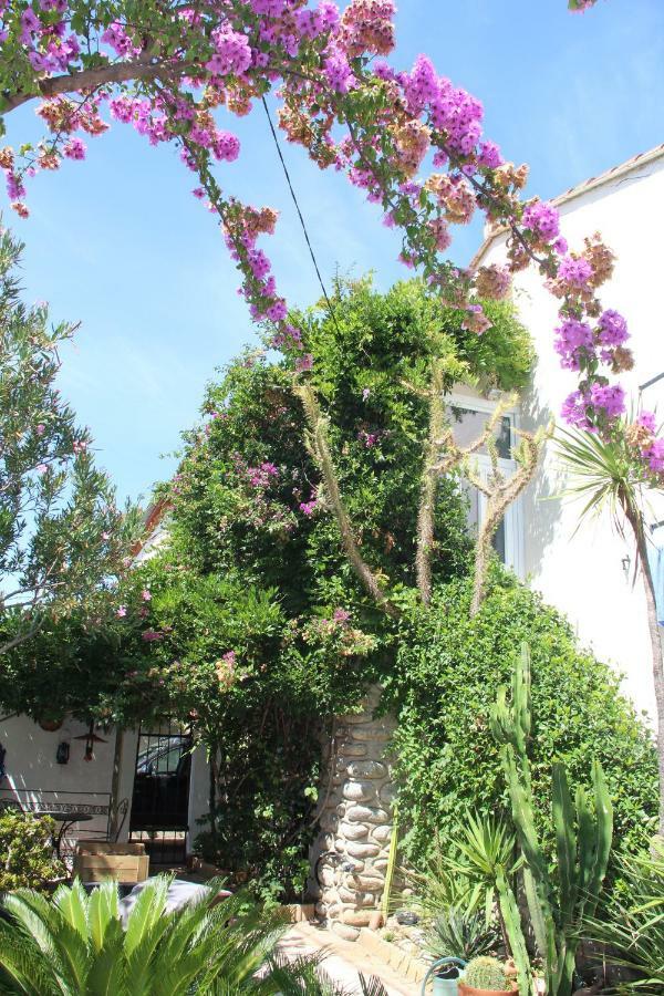 Appartement Dans Quartier Calme Avec Jardin Pour 2 Pers Argelès-sur-Mer Kültér fotó